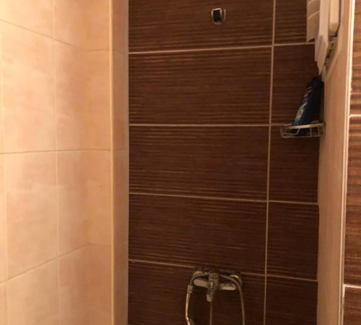 Es Apart Otel Gaziemir 0*,